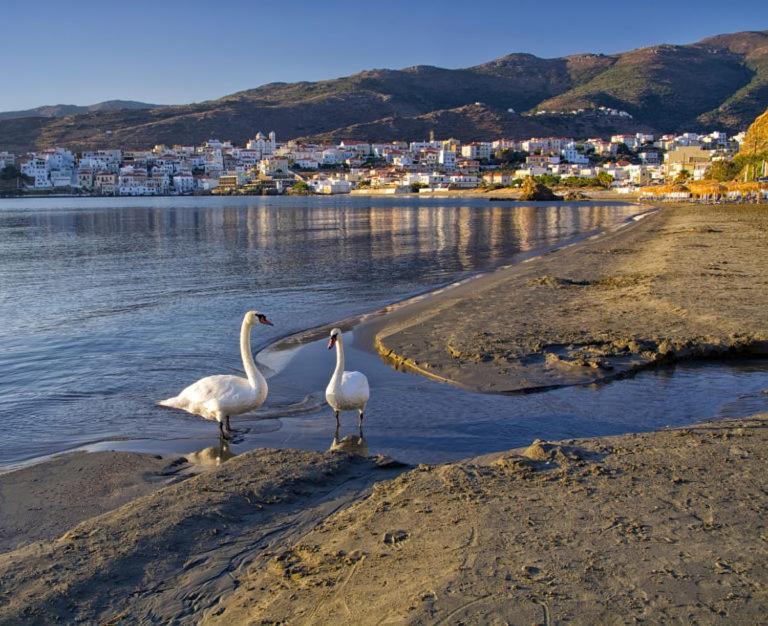 Вілла Πλατανακι 1 Family Friendly Андрос Екстер'єр фото